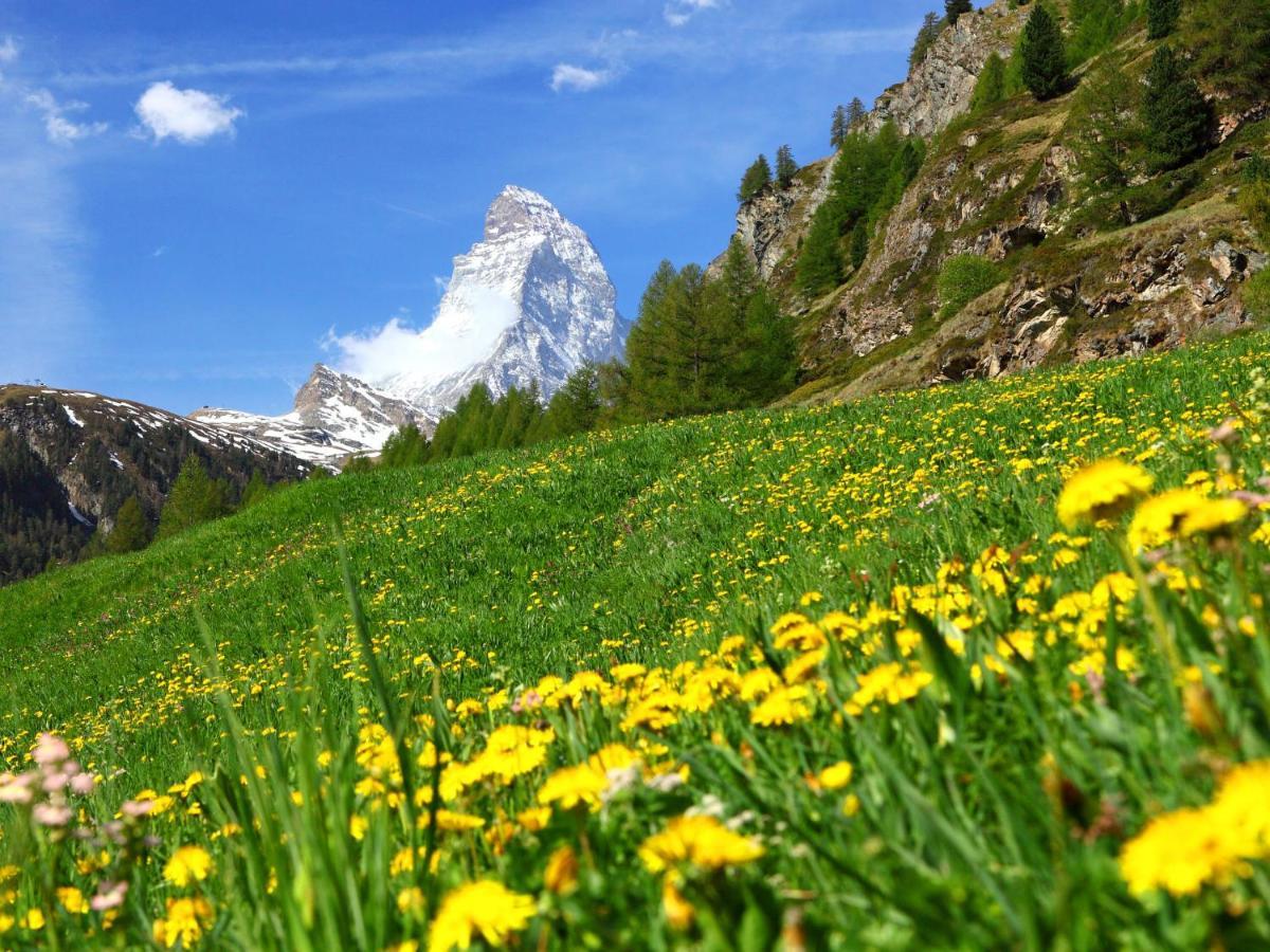 Apartment Monazit By Interhome Zermatt Zewnętrze zdjęcie